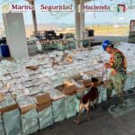 SEMAR, ADUANAS Y SSPC ASESTAN EN LC FUERTE GOLPE AL CRIMEN ORGANIZADO