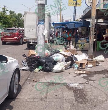 CRISIS DE INSALUBRIDAD Y ABANDONO VIAL: LA REALIDAD QUE ASFIXIA AL CENTRO DE LC