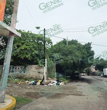Falta de recolección de basura en LC, es ya un problema de salud pública