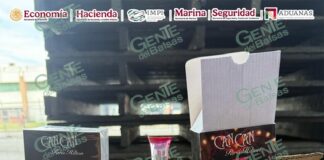 Aseguran en puerto LC mercancía de procedencia extranjera