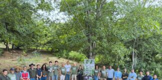 Hacen restauración ecológica con siembra de 14,500 árboles en El Manglito