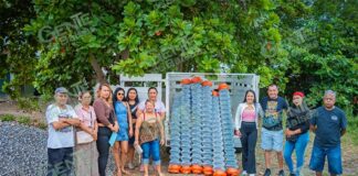 Rosalinda Savala Díaz entrega 100 metros de malla ciclónica a la Telesecundaria Nueva Creación en Tinoco Rubí
