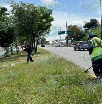 Realiza Gobierno de Morelia trabajos de mantenimiento en el periférico Revolución